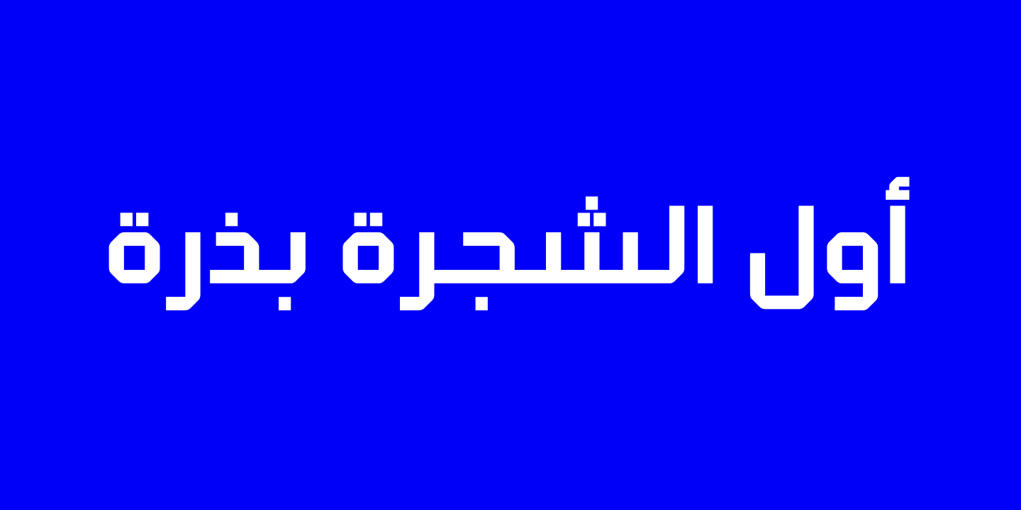 Example font Klapt Arabic #13